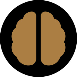 BRAIN BOOSTER